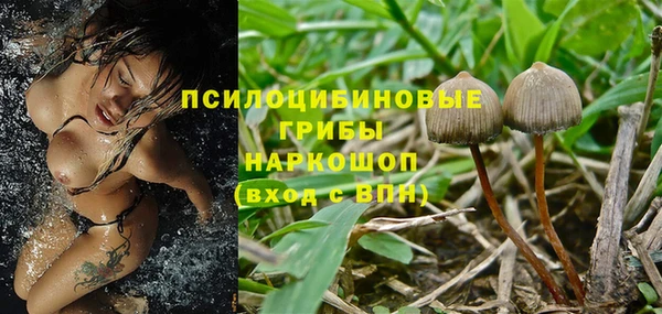спайс Дмитриев