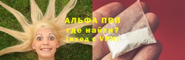 спайс Дмитриев