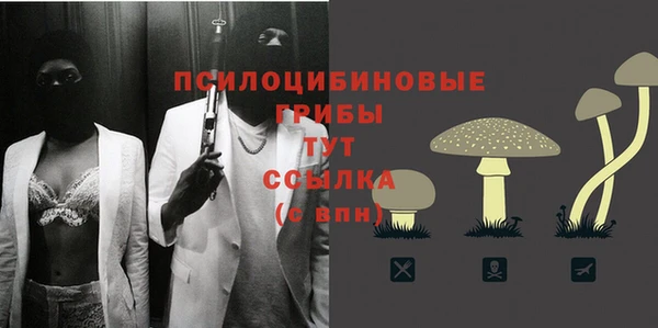 каннабис Дмитров