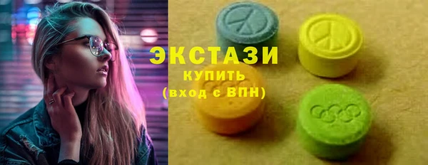 ECSTASY Бородино