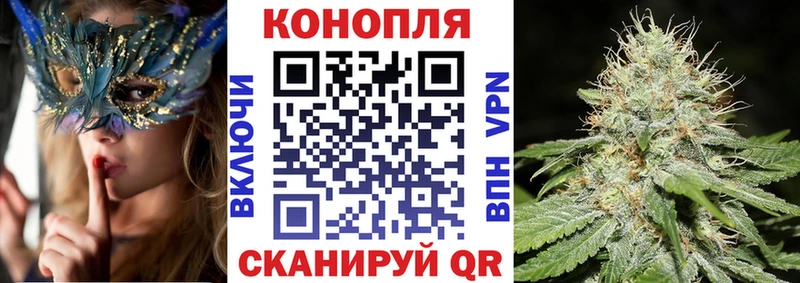 Бошки марихуана планчик Ермолино